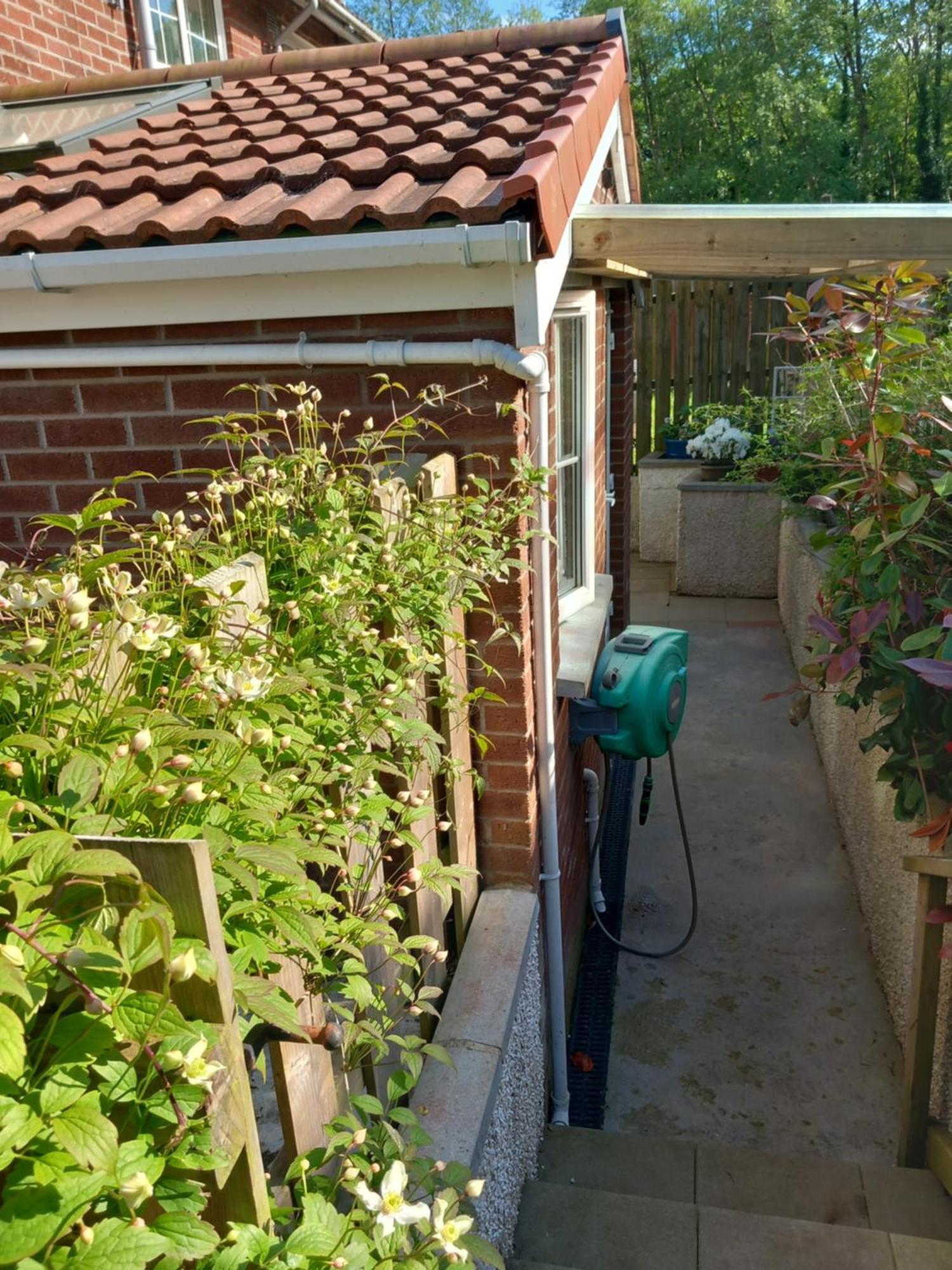 Waveney Villa Belfast Exteriör bild